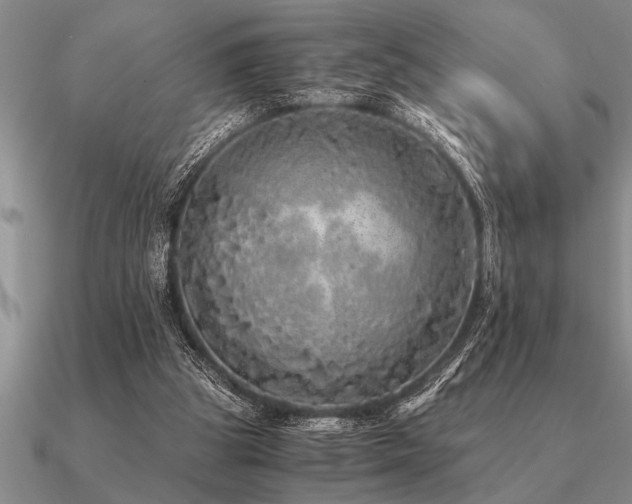 X0000091100153200708061427