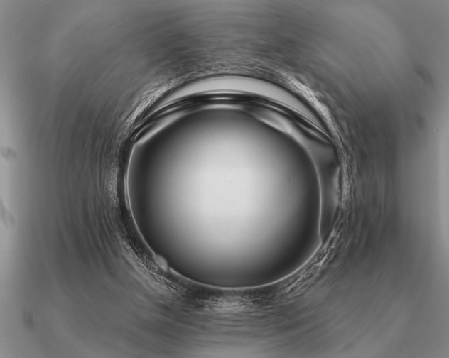 X0000091100154200708061427