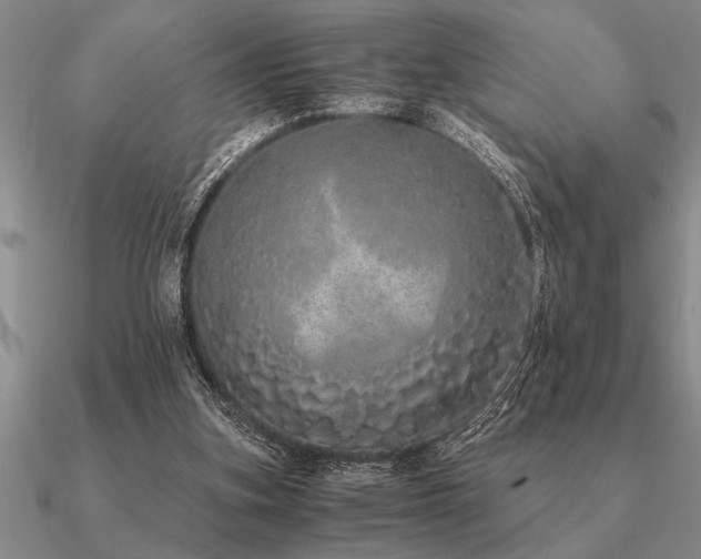 X0000091100155200708061427