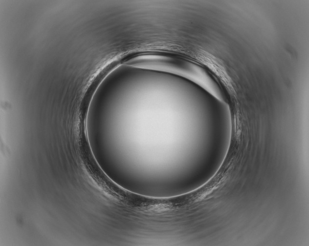 X0000091100156200708061427