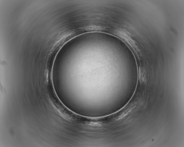 X0000091100157200708061427