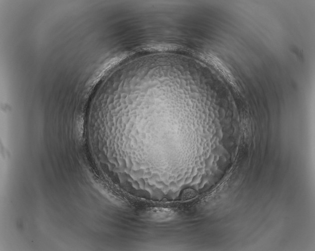 X0000091100159200708061427