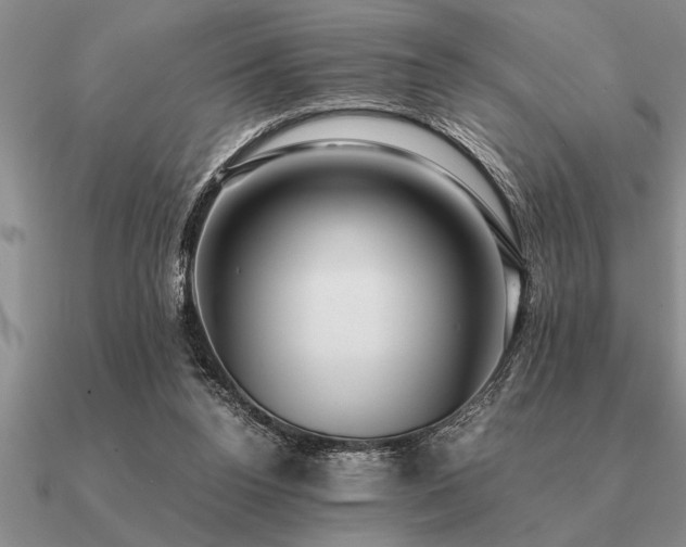 X0000091100160200708061427