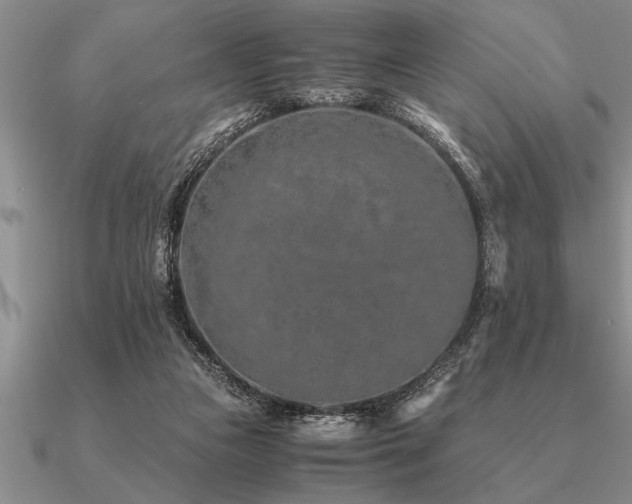 X0000091100161200708061427