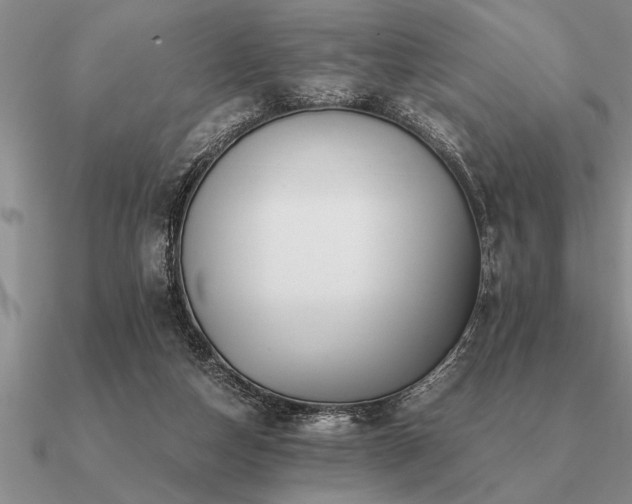 X0000091100162200708061427