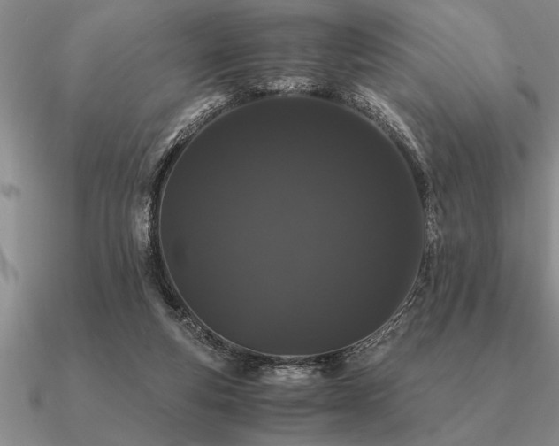 X0000091100163200708061427