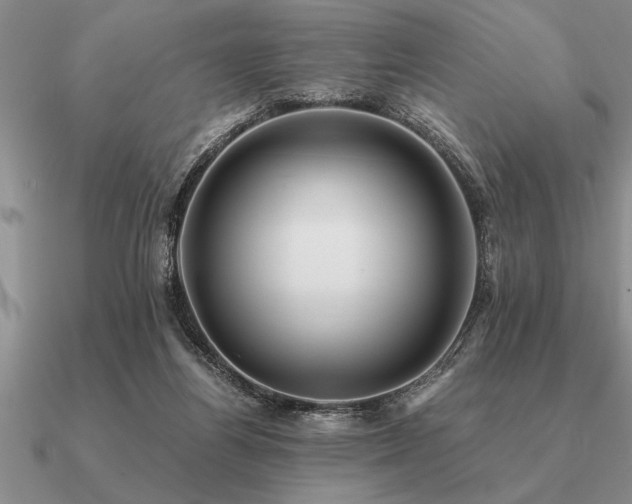 X0000091100164200708061427