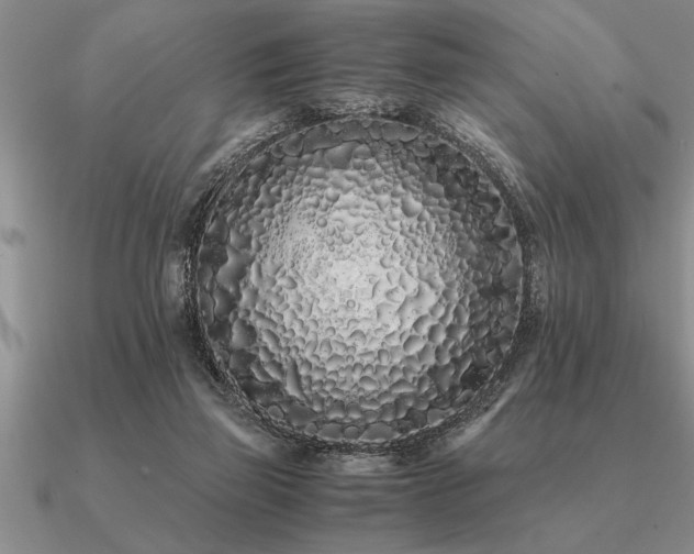 X0000091100165200708061427