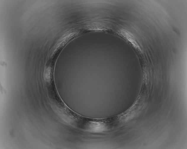 X0000091100167200708061427