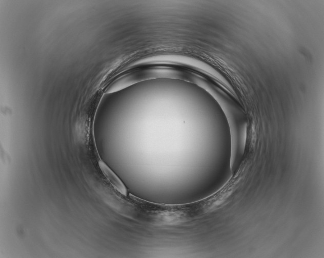 X0000091100168200708061427