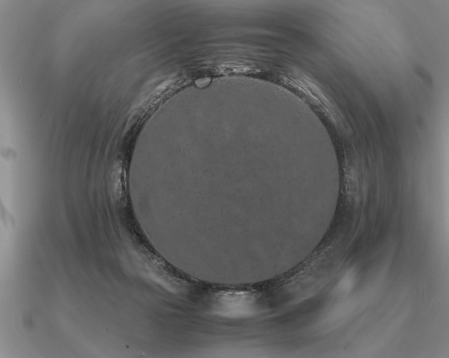 X0000091100169200708061427