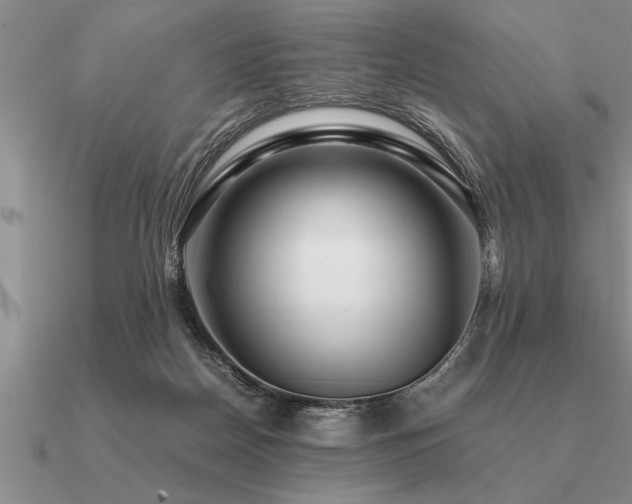 X0000091100170200708061427