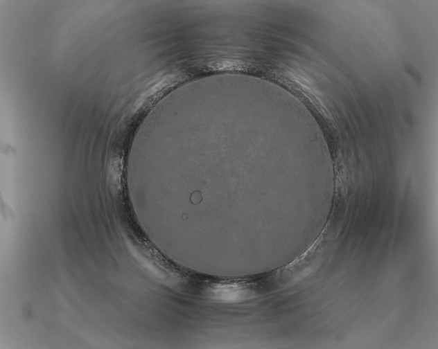 X0000091100171200708061427