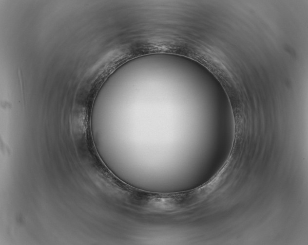 X0000091100174200708061427