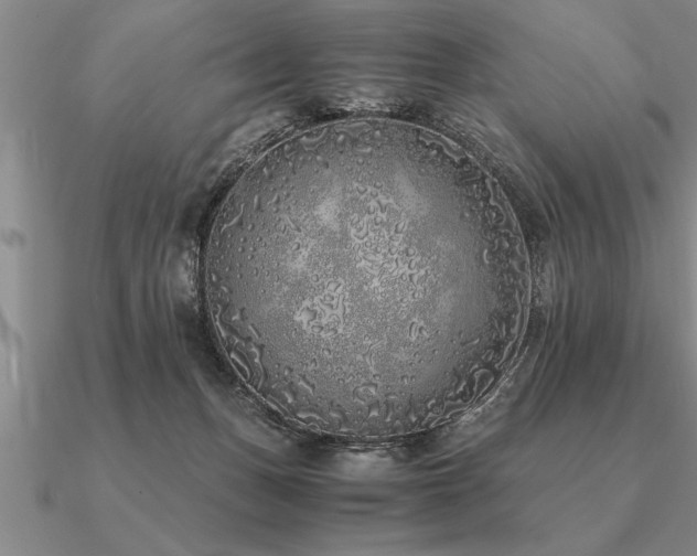 X0000091100175200708061427