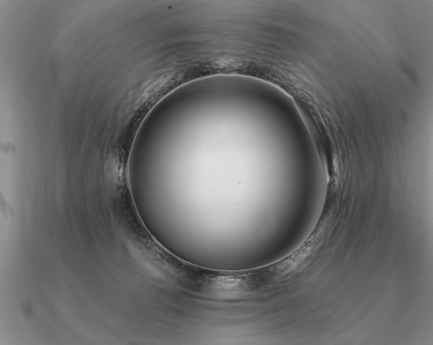 X0000091100176200708061427