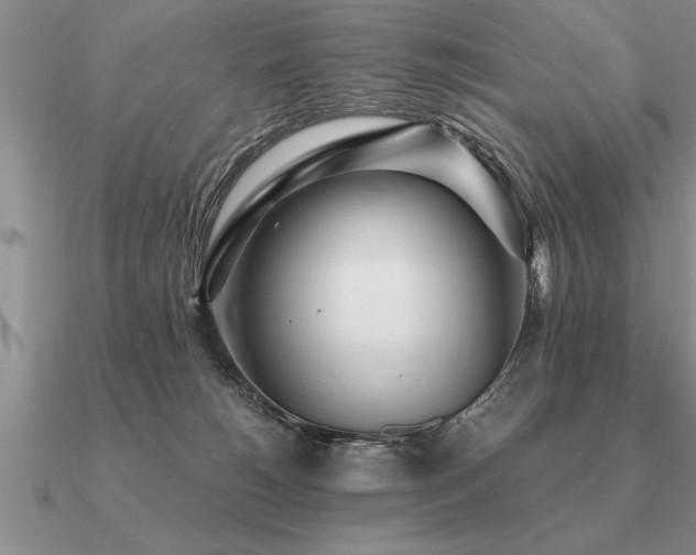 X0000091100180200708061427