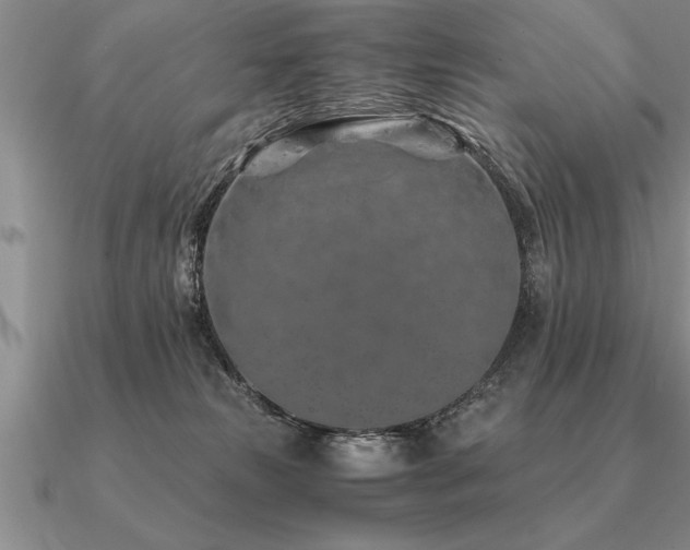 X0000091100181200708061427