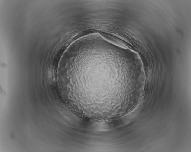 X0000091100182200708061427