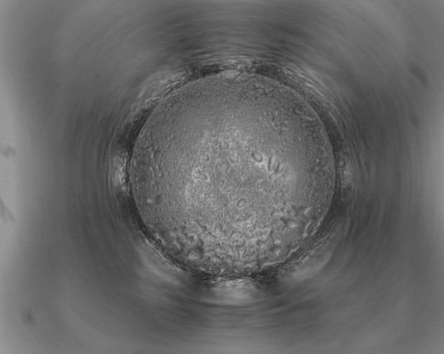 X0000091100185200708061427