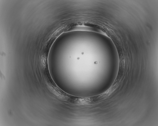 X0000091100188200708061427