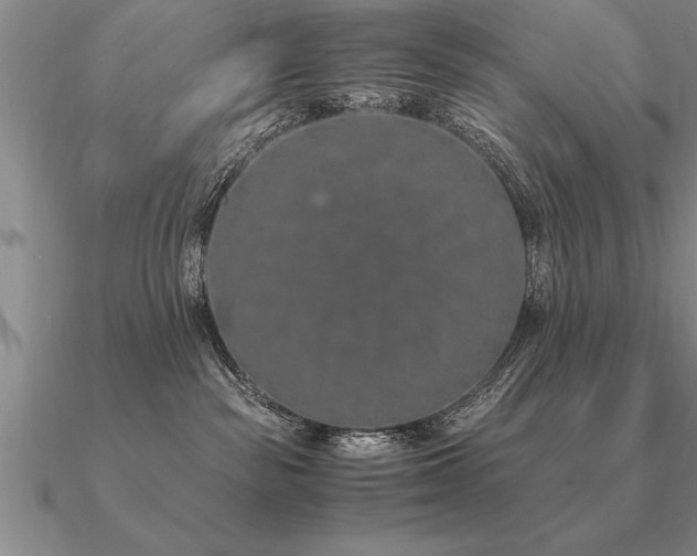 X0000091100189200708061427