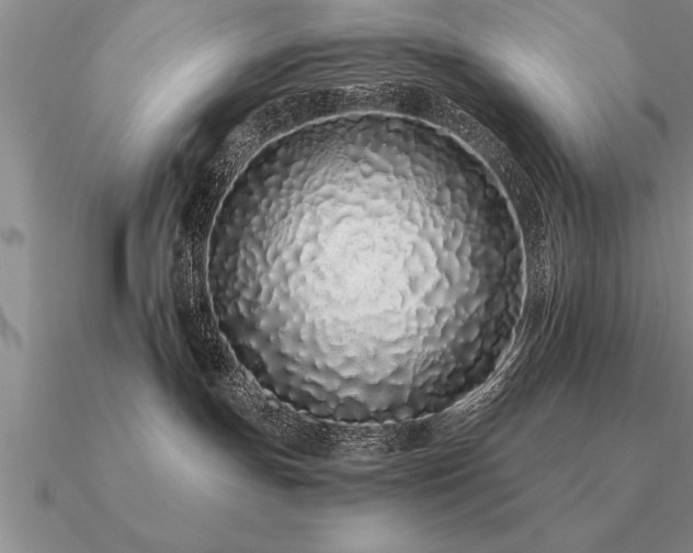 X0000091100191200708061427