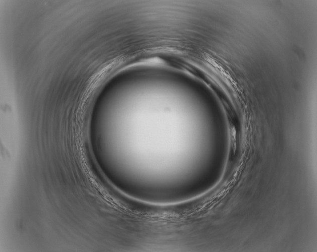 X0000091100193200708061427