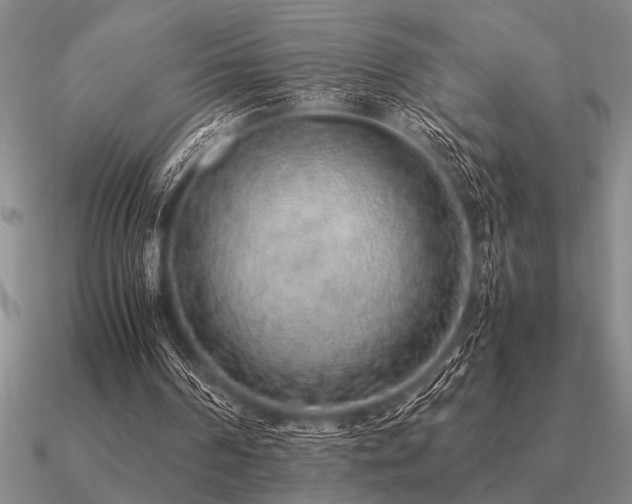 X0000091100194200708061427