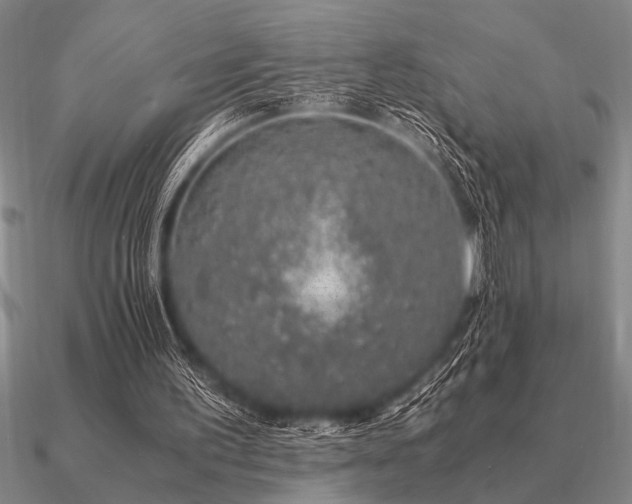 X0000091100195200708061427