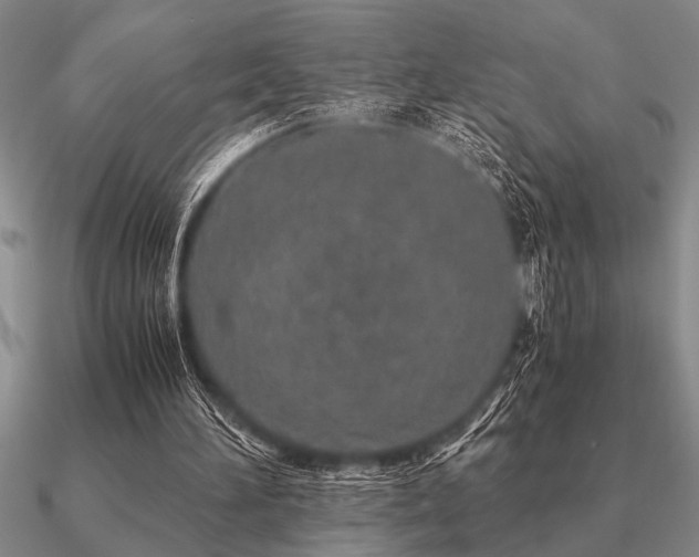 X0000091100196200708061427