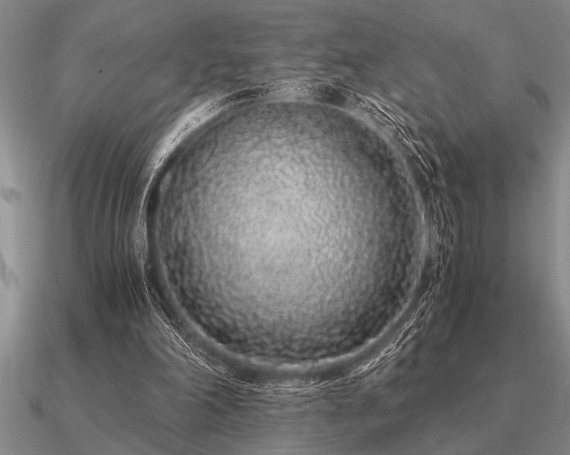 X0000091100198200708061427