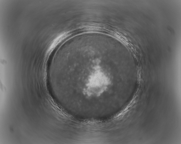 X0000091100199200708061427