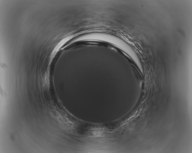 X0000091100200200708061427