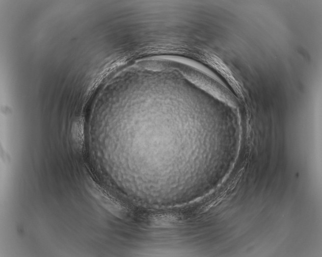 X0000091100202200708061427