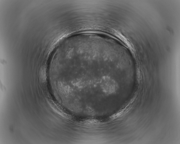 X0000091100203200708061427