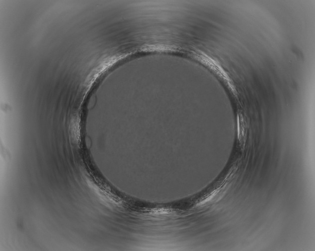 X0000091100204200708061427