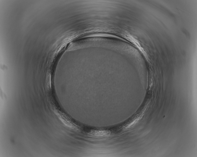 X0000091100205200708061427