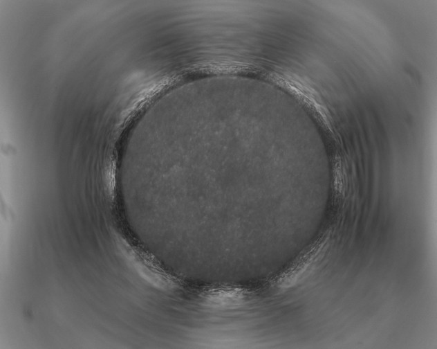 X0000091100206200708061427