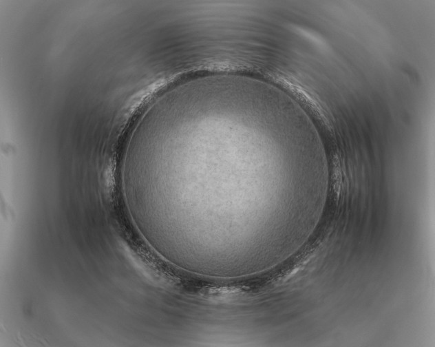 X0000091100208200708061427