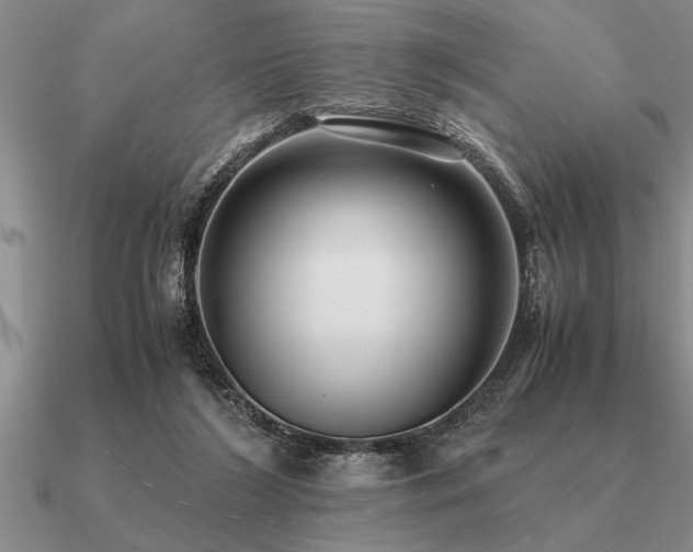 X0000091100212200708061427