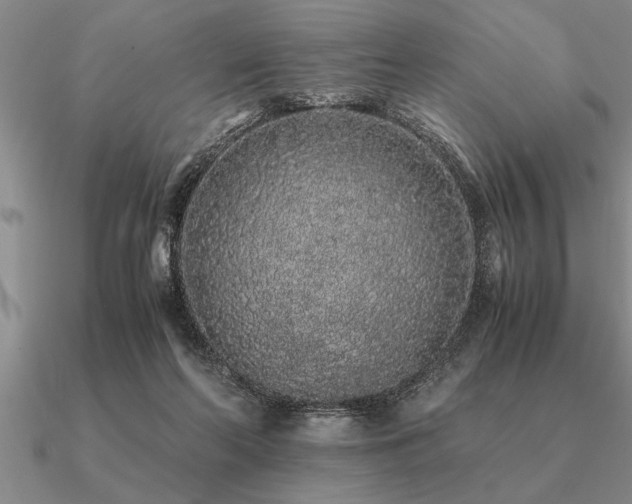 X0000091100214200708061427