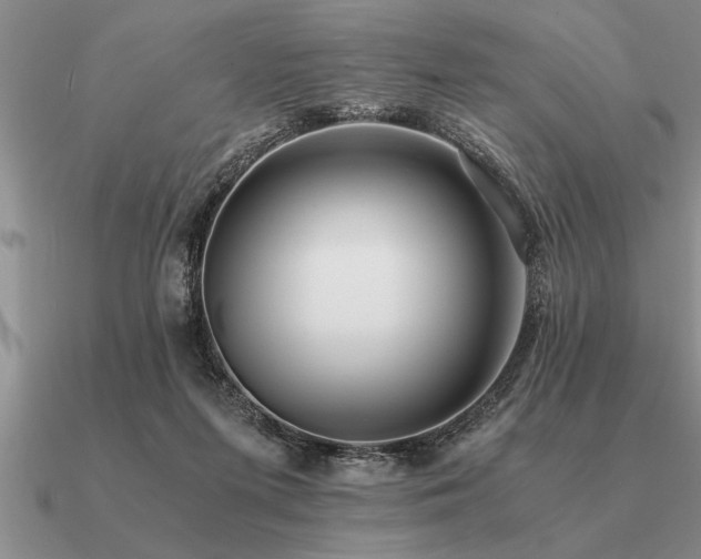 X0000091100215200708061427