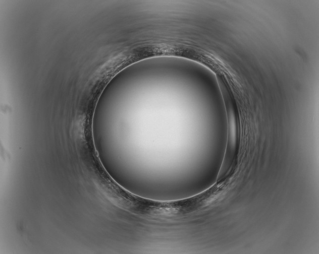 X0000091100217200708061427