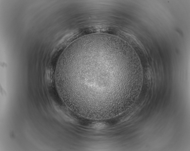 X0000091100218200708061427