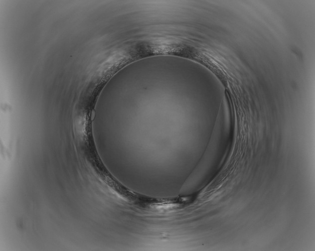 X0000091100219200708061427