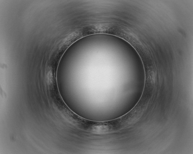 X0000091100220200708061426