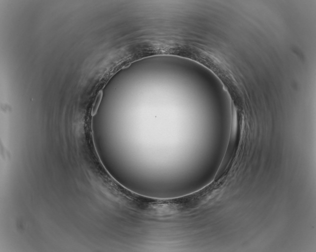 X0000091100221200708061426