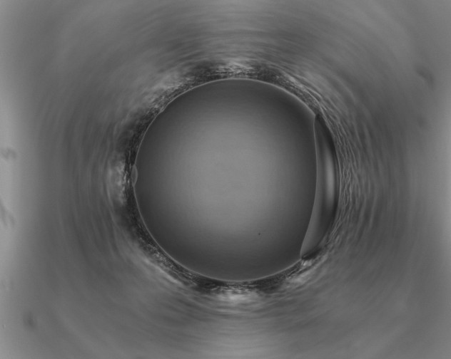 X0000091100223200708061426