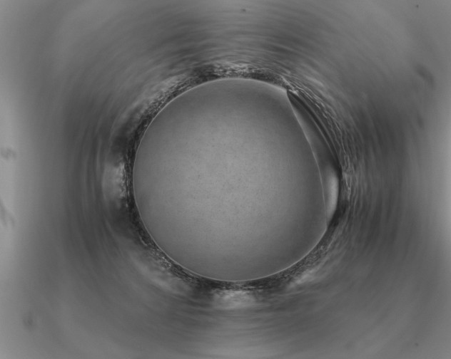 X0000091100224200708061426